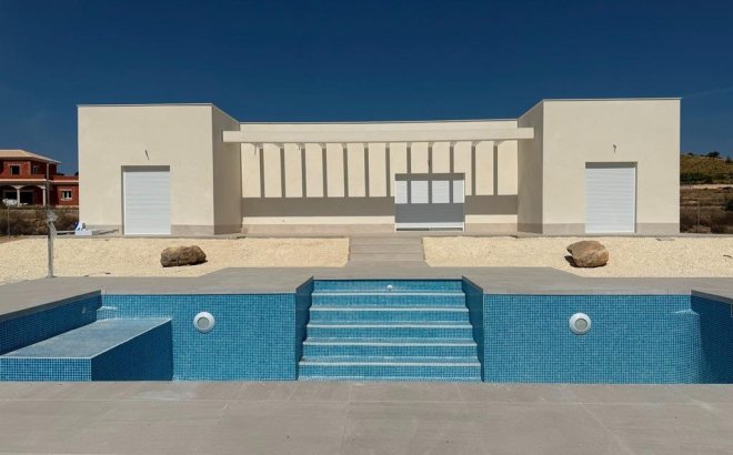 New Build - Villa -
Pinoso - Camino Del Prado