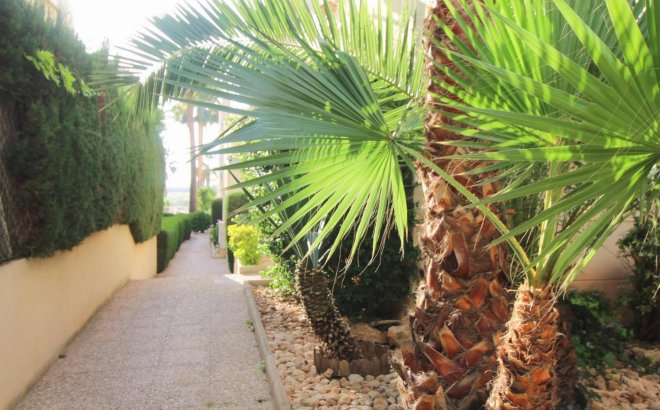 Resale - Apartment -
Torrevieja - La Veleta