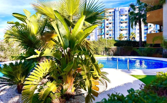 Revente - Appartement -
Torrevieja - Punta Prima