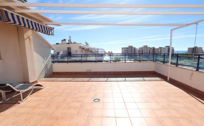 Revente - Penthouse -
Pilar de la Horadada - Costa Blanca