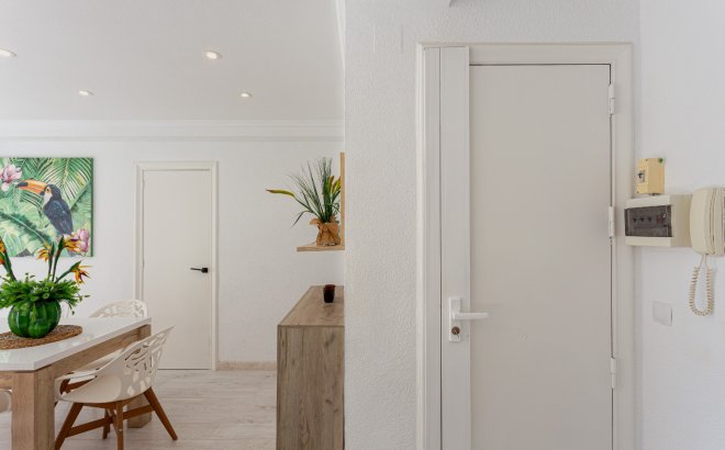 Resale - Apartment -
Torrevieja - Costa Blanca