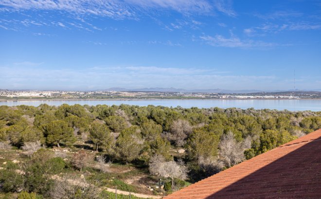 Revente - Appartement -
Torrevieja - Costa Blanca