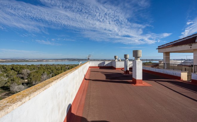 Revente - Appartement -
Torrevieja - Costa Blanca