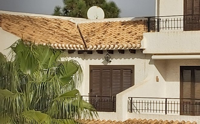 Resale - Apartment -
Cabo Roig - Costa Blanca