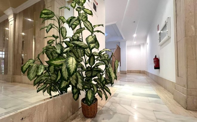 Herverkoop - Appartement -
Torrevieja