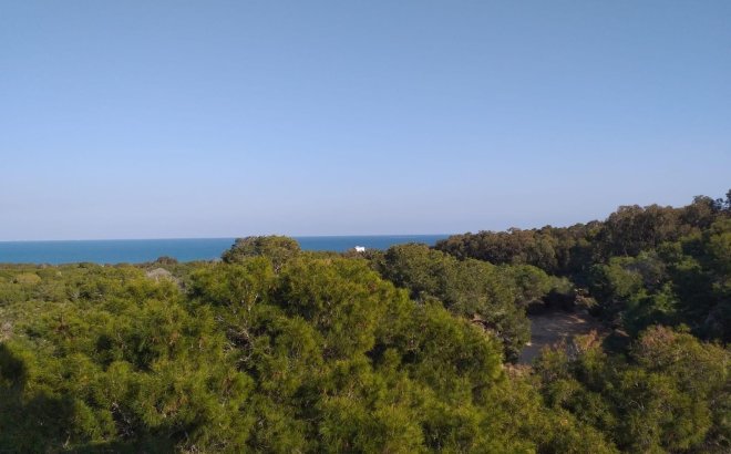 Nouvelle Construction - Appartement -
Guardamar del Segura - Pueblo