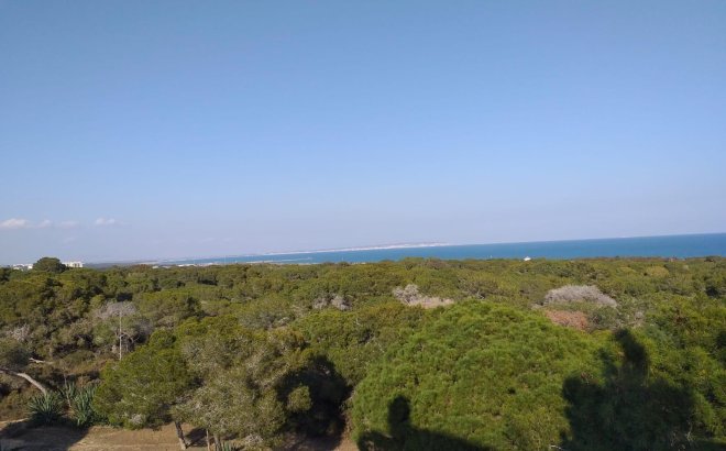 New Build - Penthouse -
Guardamar del Segura - Pueblo