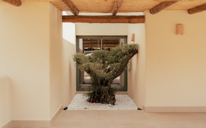 New Build - Villa -
Jávea Xàbia - Valle del Sol