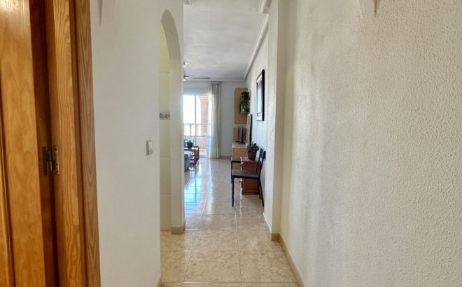 Resale - Apartment -
Torrevieja - Costa Blanca