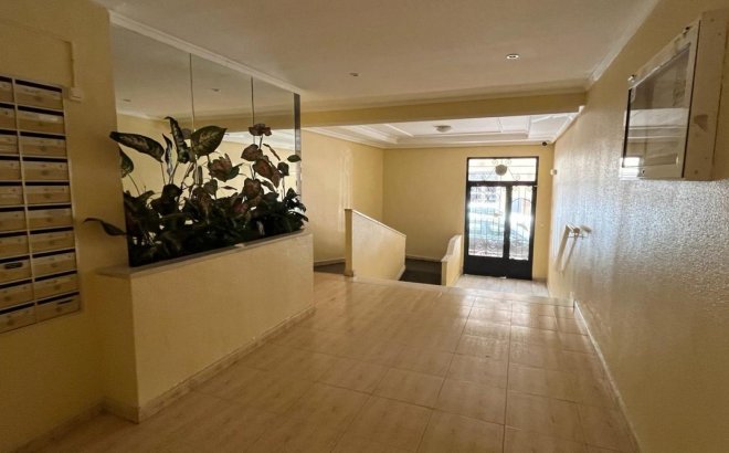 Revente - Appartement -
Torrevieja - Costa Blanca
