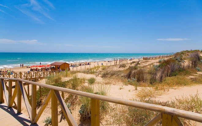 Nieuwbouw Woningen - Appartement -
Guardamar del Segura - Pueblo