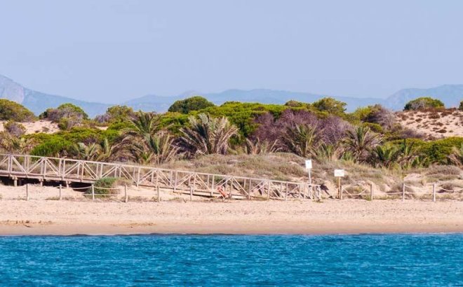 Nieuwbouw Woningen - Appartement -
Guardamar del Segura - Pueblo