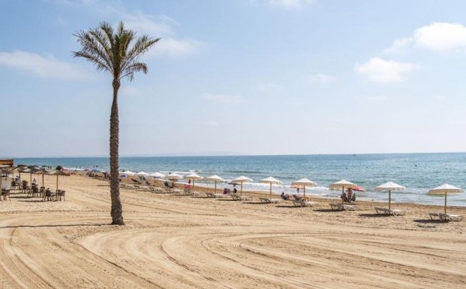 New Build - Ground floor apartment -
Guardamar del Segura - Pueblo