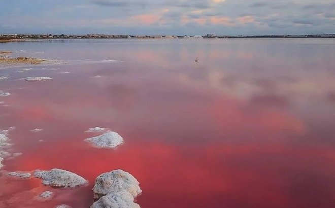 Nieuwbouw Woningen - Ground Floor Bungalow -
Torrevieja - Lago Jardín II
