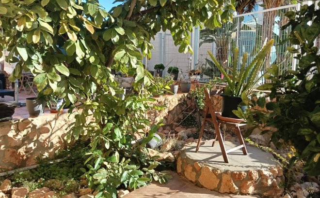 Resale - Apartment -
Los Montesinos - Costa Blanca