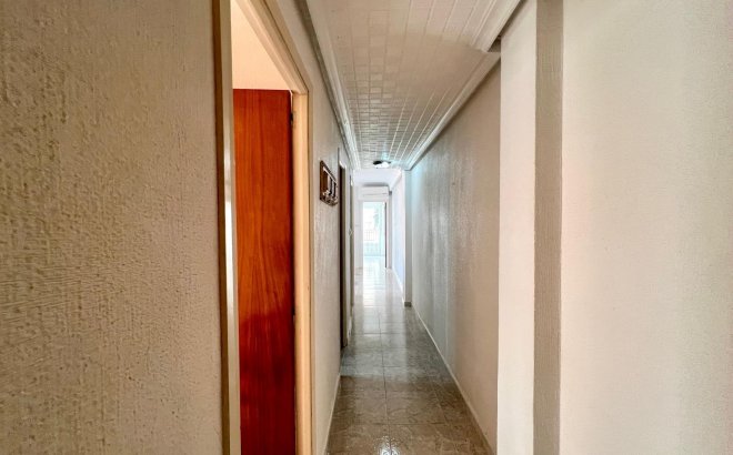 Resale - Apartment -
Torrevieja - Paseo Maritimo