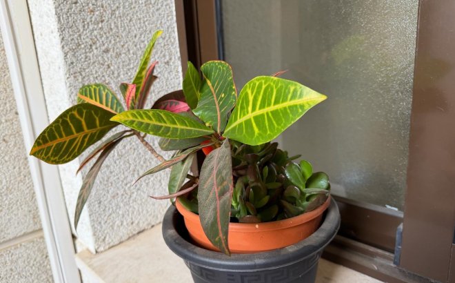 Resale - Apartment -
Orihuela Costa - Las Ramblas