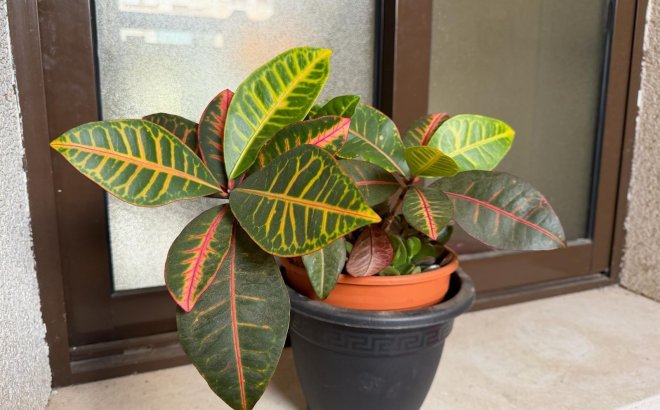 Resale - Apartment -
Orihuela Costa - Las Ramblas