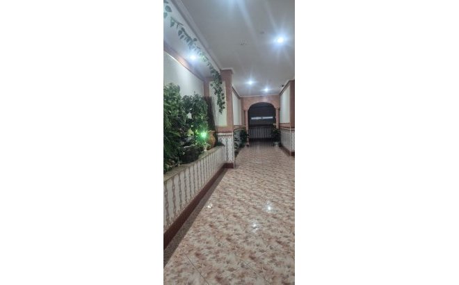 Resale - Apartment -
Torrevieja - La Mata Pueblo