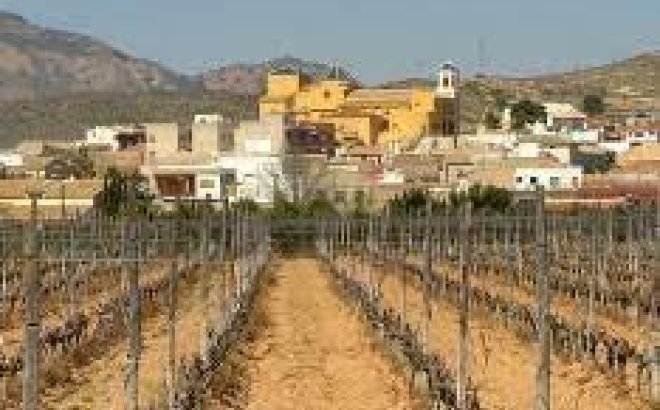 New Build - Top Floor Bungalow -
Hondón de las Nieves - El Salero