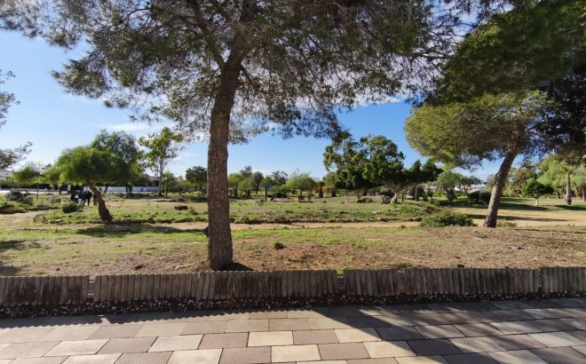 Resale - Bungalow -
Torrevieja - La Siesta - El Salado - Torreta