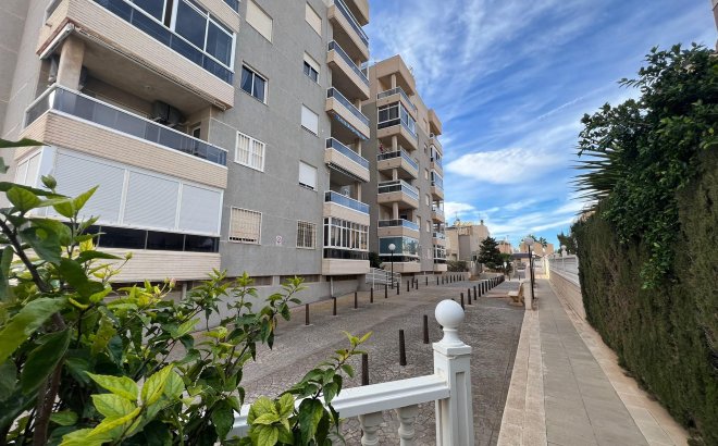 Resale - Apartment -
Torrevieja - Costa Blanca