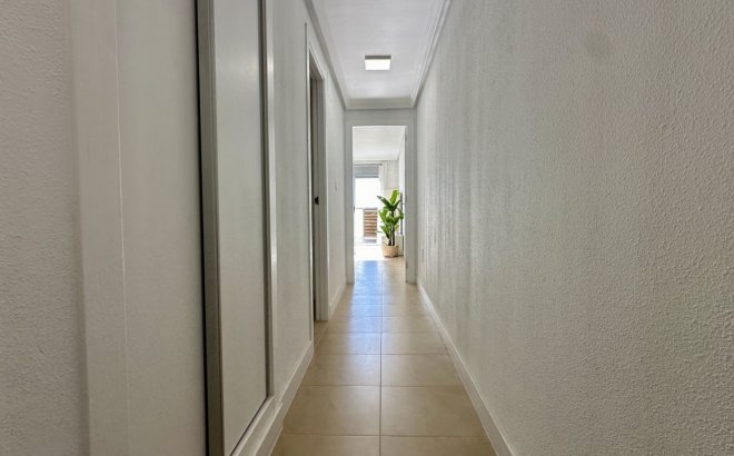 Resale - Apartment -
Torrevieja - Costa Blanca