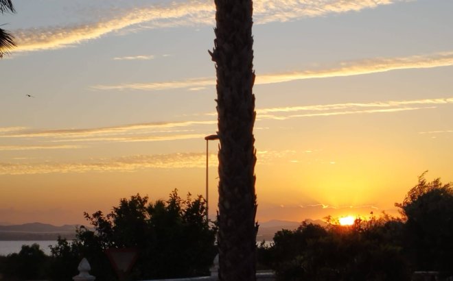 Resale - Villa -
Torrevieja - La Siesta - El Salado - Torreta