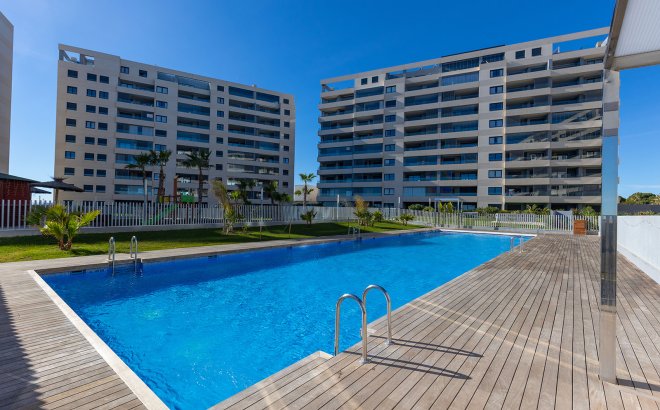 Resale - Apartment -
Torrevieja - Costa Blanca