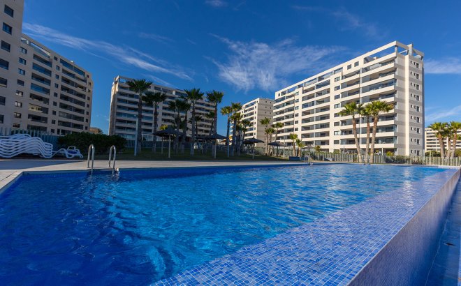 Resale - Apartment -
Torrevieja - Costa Blanca