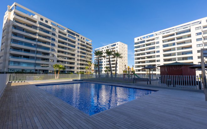 Resale - Apartment -
Torrevieja - Costa Blanca