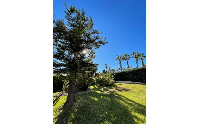 Resale - Villa -
Villamartin - Costa Blanca