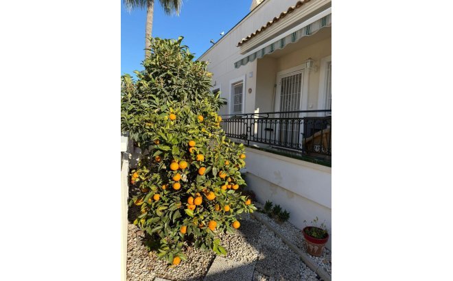 Herverkoop - Semi Detached -
Orihuela Costa - Playa Flamenca