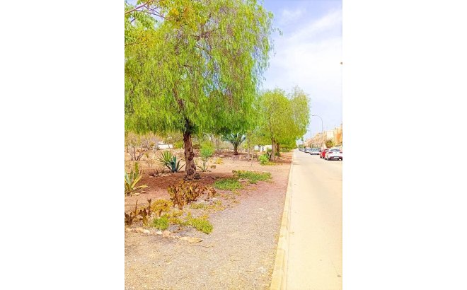 Resale - Apartment -
Orihuela Costa - La Florida