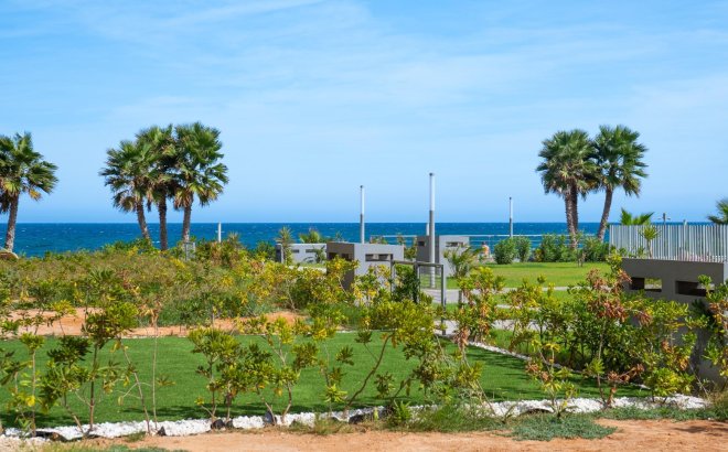 Resale - Apartment -
Torrevieja - Punta Prima