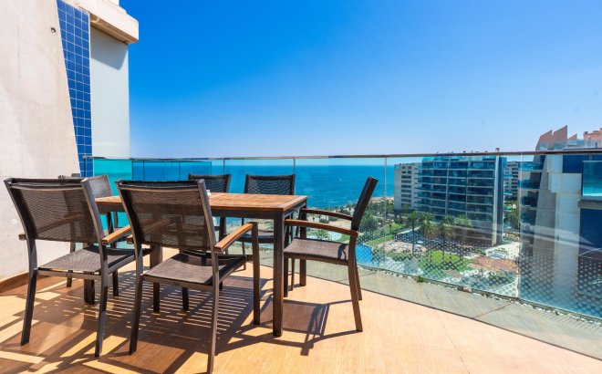 Revente - Penthouse -
Torrevieja - Punta Prima