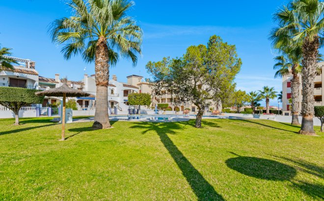 Herverkoop - Appartement -
Playa Flamenca - Costa Blanca