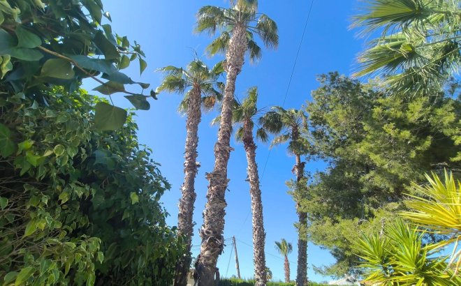 Revente - Villa -
Torrevieja - La Siesta