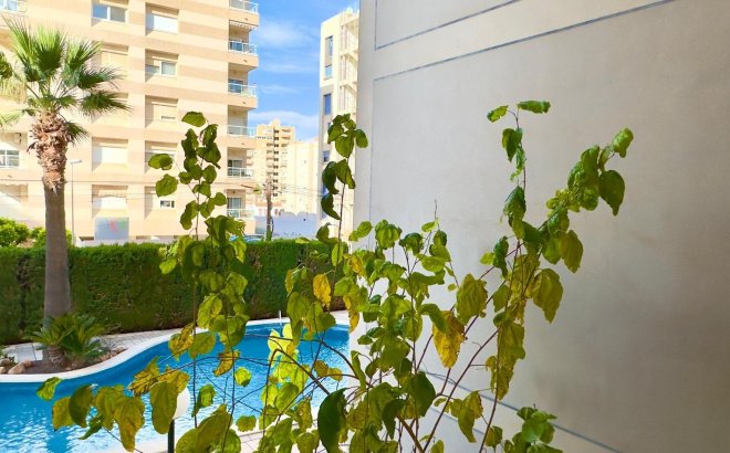 Herverkoop - Appartement -
Torrevieja - Playa del Cura