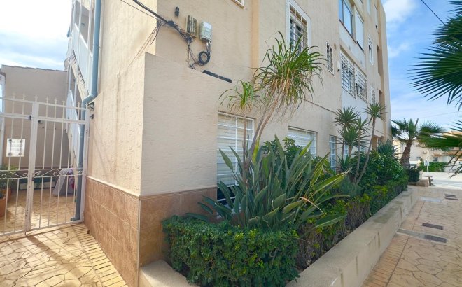 Resale - Apartment -
Torrevieja - Zona Los Frutales