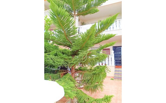 Revente - Bungalow -
Orihuela Costa - Lomas De Cabo Roig-los Dolses