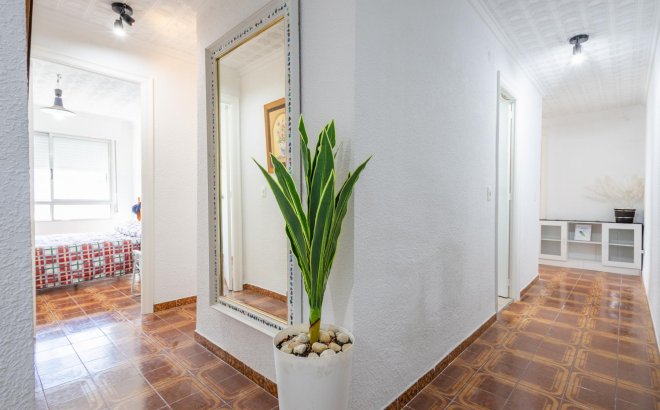 Resale - Apartment -
Torrevieja - Costa Blanca