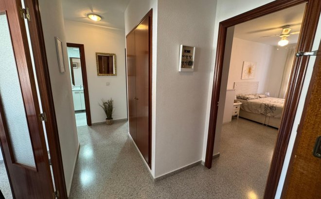 Resale - Apartment -
San Miguel de Salinas - Inland
