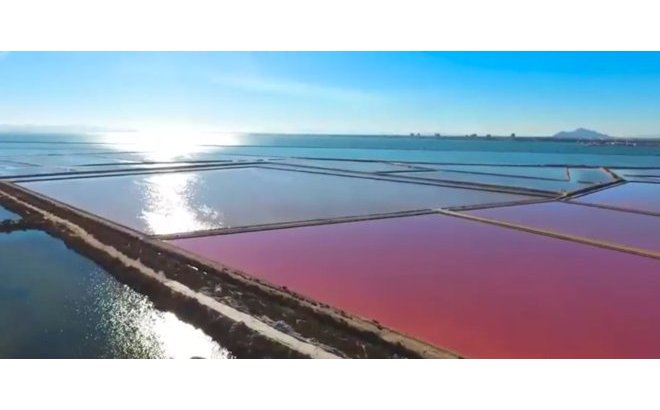 Resale - Villa -
Torre de la Horadada - Costa Blanca