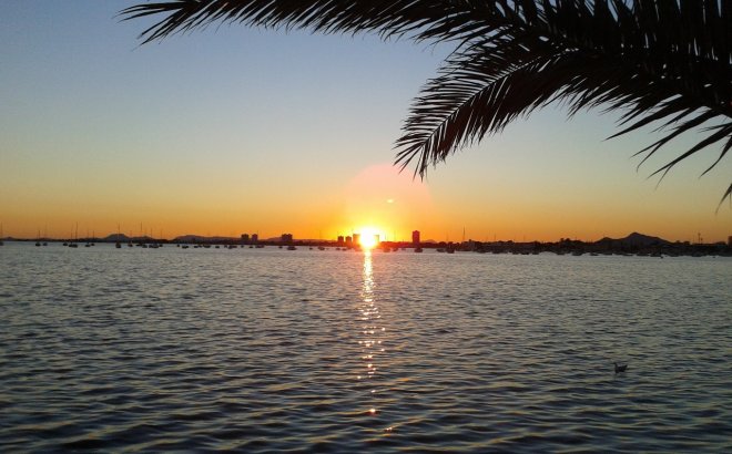 Resale - Villa -
Torre de la Horadada - Costa Blanca