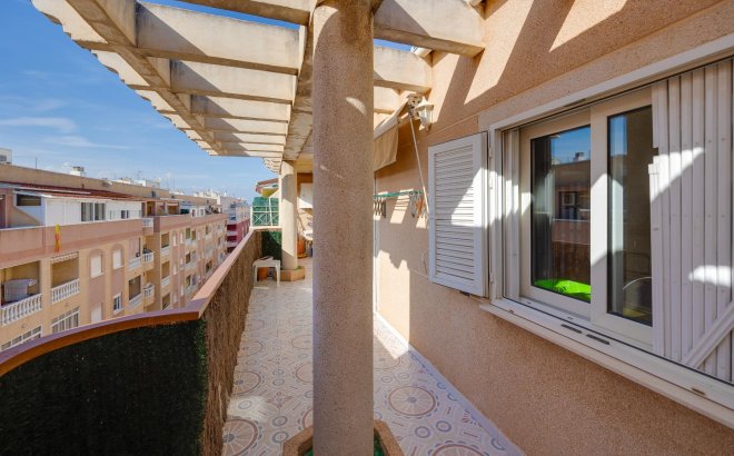 Resale - Apartment -
Torrevieja - Costa Blanca
