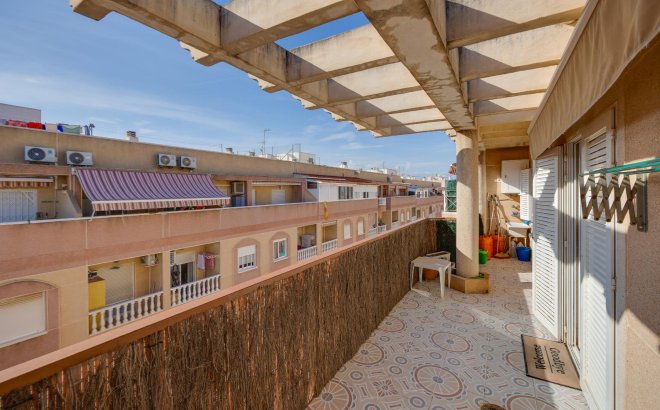Resale - Apartment -
Torrevieja - Costa Blanca