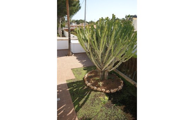 Resale - Villa -
Cabo Roig - Costa Blanca