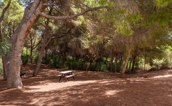 Resale - Apartment -
Orihuela Costa - Costa Blanca