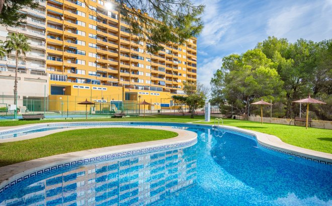 Resale - Apartment -
Orihuela Costa - Costa Blanca